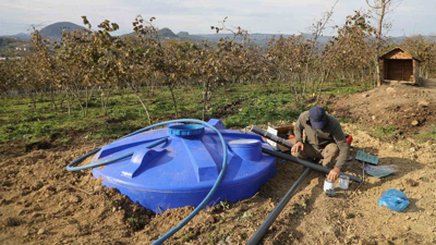 Ordu’da fındık bahçelerinde kuraklığa karşı damla sulama sistemi devreye alındı