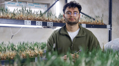 Topraksız safranla ezber bozan genç mühendis çiftçilere ilham oluyor