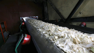 Muş ve Van’daki fabrikalarda 76 bin 10 ton şeker üretimi planlanıyor