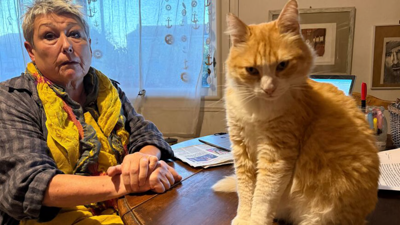 Komşusunu rahatsız eden kediye ev hapsi verildi!