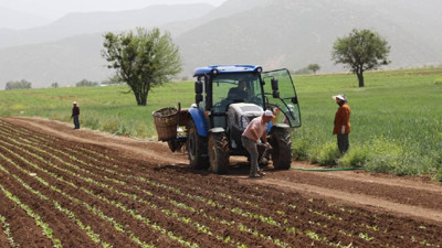 Tarım &uuml;retici fiyatlarında yıllık artış y&uuml;zde 36