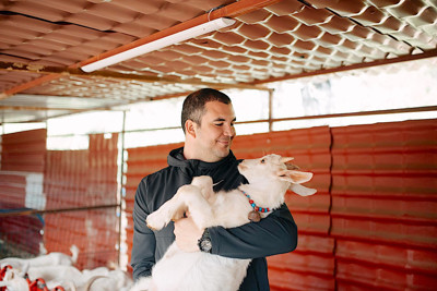 Zeytinliklerin gölgesinde bir gastronomi masalı - Resim : 2