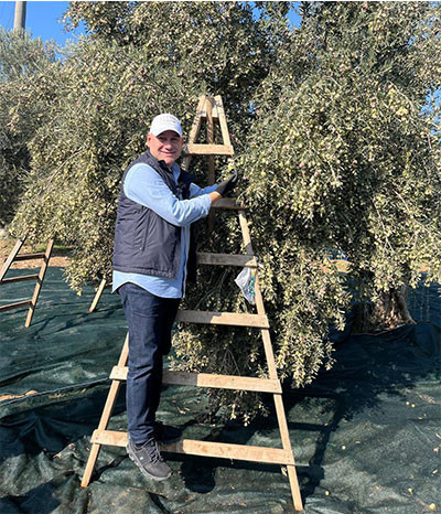 Zeytinyağı üreticisi pirinadan zarar ediyor ve çevre kirleniyor, sorunu entegre fabrikalar çözer - Resim : 1