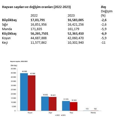 Türkiye’nin hayvan varlığı azalıyor - Resim : 1