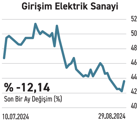 Güçlü şirketler düşüşlerde yatırımcıya fırsat sağlıyor - Resim : 11