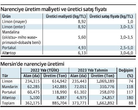 Narenciyede üretici “satamıyorum”, tüketici “alamıyorum” diyor  - Resim : 2