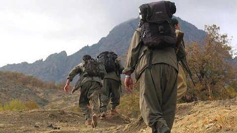 İkna edilen PKK'lı 5 terörist teslim oldu