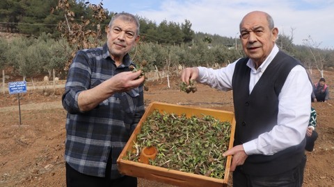 Mehmet Kanbur: “Salep Yetiştirmek İsteyen Çiftçimize 10 Yıl Alım Garantisi veriyoruz
