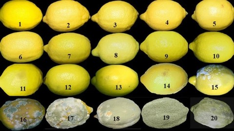 Limonlar küfleniyorsa bir de bunu deneyin ; Ev hanımları en az 1 yıl saklıyor
