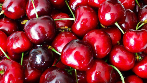 Zirai don kirazda büyük kayıp yarattı: İhracatta 61 bin tonluk düşüş