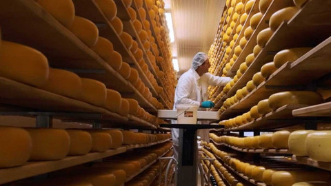 Ünlü markanın peynirleri 2 kişiyi öldürdü: Tüm marketlerden toplatılıyor