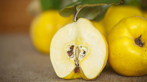 Ayvanın gizli hazineleri: Sağlık dolu bir sonbahar hediyesi