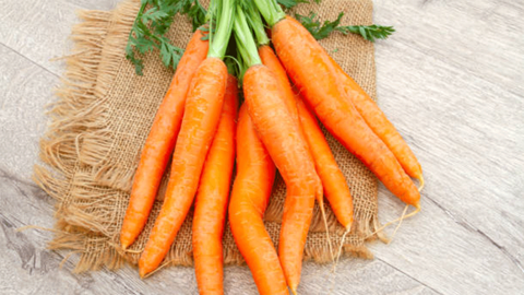 Havuçla gelen sağlık: Gözden bağışıklığa, sonbaharın turuncu kahramanı