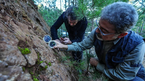 Sındırgı'da deprem fırtınası! Prof. Dr. Hasan Sözbilir: Ölü faylar dirildi