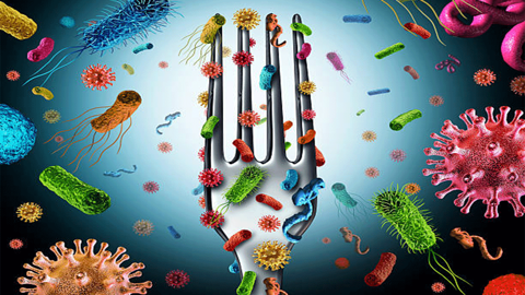 Uzmanından besin zehirlenmelerinde en kritik 72 saat için hayati uyarılar!