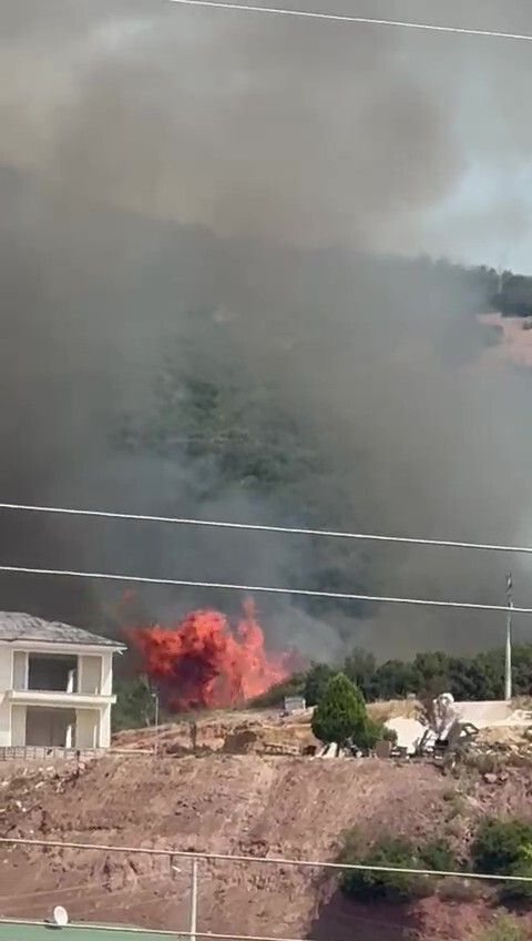 Son dakika... Kocaeli'de orman yangını: Alevler evlere de sıçradı (Video) - Resim : 4
