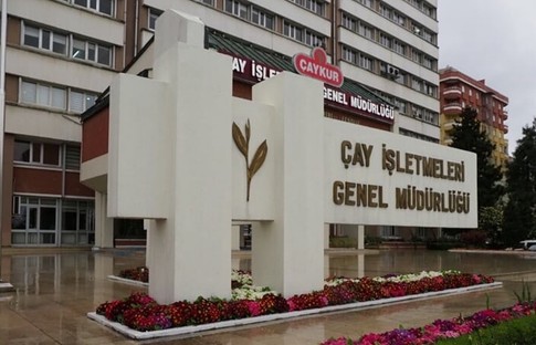 ÇAYKUR’dan yaş çay alım kapasitesine ilişkin açıklama