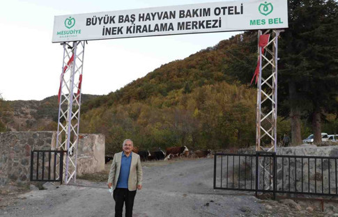 Ordu Büyükşehir, hayvan bakım otellerini artıracak