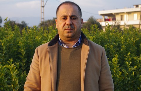 Hataylı narenciye fidancısı altın dönemini yaşıyor