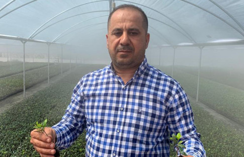 Susuz serada ‘mikro dal’ tekniği ile yüzde 100 verim alıyor