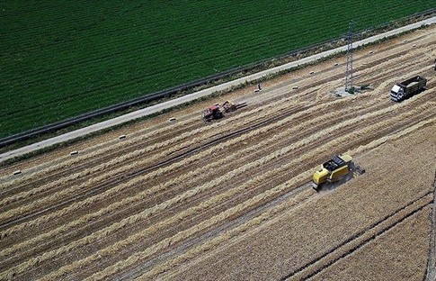 Üreticilere 420,5 milyon liralık destek ödemeleri başladı