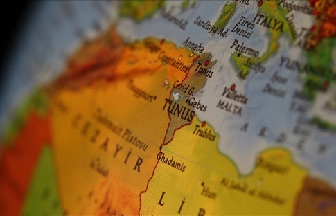 Tunus Sağlık Bakanı Mehdi görevden alındı