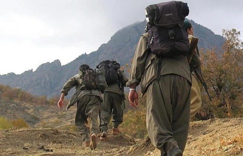 İkna edilen PKK'lı 5 terörist teslim oldu