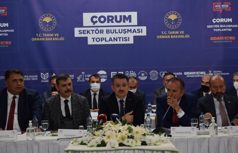 Bakan Pakdemirli’den Çorumlulara müjde