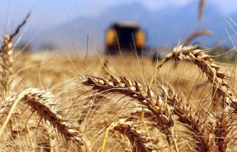 TİGEM'in ana statüsünde değişikliğe gidildi