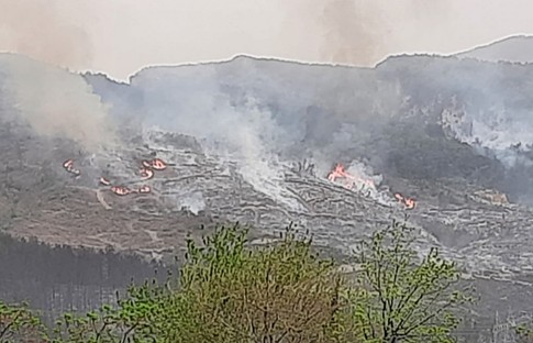 Hatay'da orman yangını