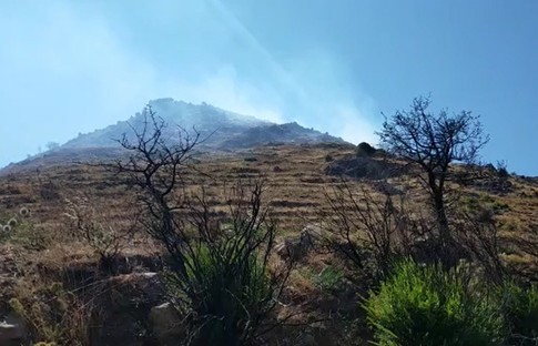 Bodrum'daki yangında 3 hektar alan zarar gördü