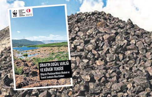 Kömürün gerçek faturası
