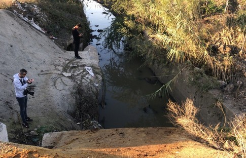 Adana'da çok sayıda eşek başı bulundu