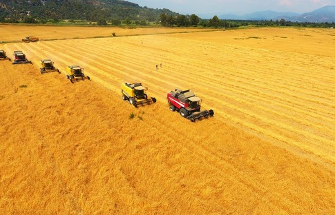 Tarımda girdi fiyatları yüzde 49,7 arttı