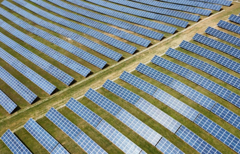 OTM Enerji, tarım ve hayvancılığa yatırım yapıyor
