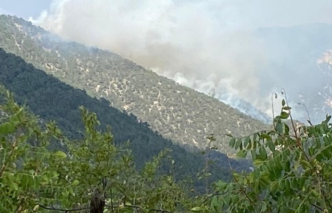 Bolu'da orman yangınına müdahale ediliyor
