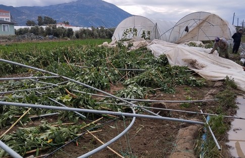 Samandağ'da şiddetli hortum: Seralar yıkıldı, ağaçlar yerinden söküldü