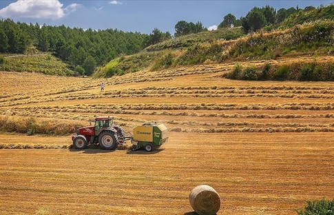 AB’den nadas kararı: Kurallara muafiyet getirdi