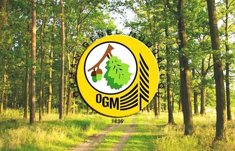 Orman Bilgi Sistemi’ne ilişkin usul ve esaslar belirlendi