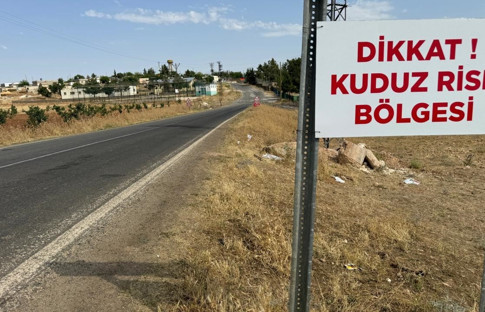 Niğde'de kuduz paniği: 1 mahalle karantinaya alındı