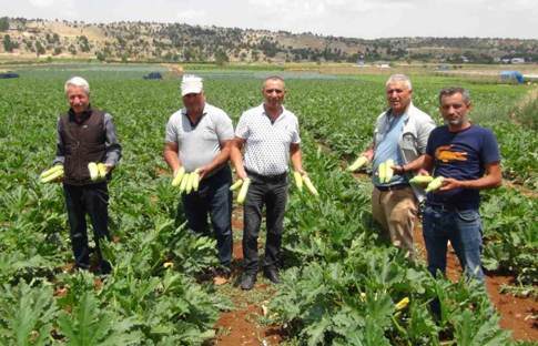 Kabak üreticilerinden ihracat için yeni ülke arayışı