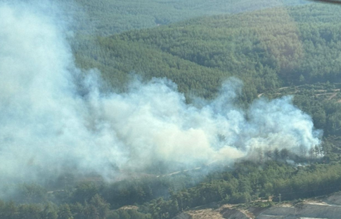 Muğla'nın Milas ilçesinde orman yangını çıktı