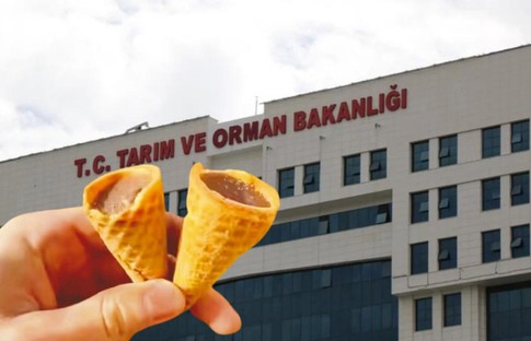 Bakanlığa şikayet yağdı! Dışı kek içi zehir