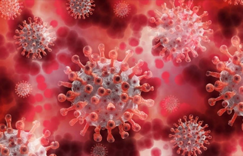 DSÖ: 7 Ağustos'ta Türkiye'de maymun çiçeği tespit edildi