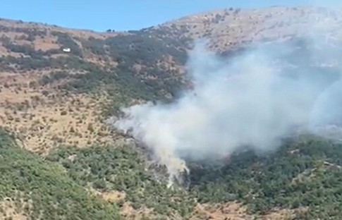 İzmir'de orman yangını! Ekipler müdahale ediliyor
