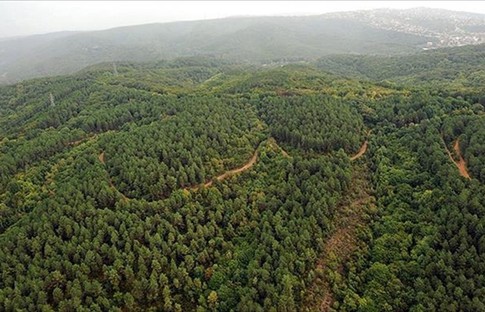 Devlet ormanları da turizm amaçlı tahsis edilebilecek