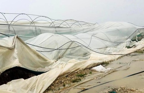 Mersin’deki fırtına çiftçileri tedirgin etti