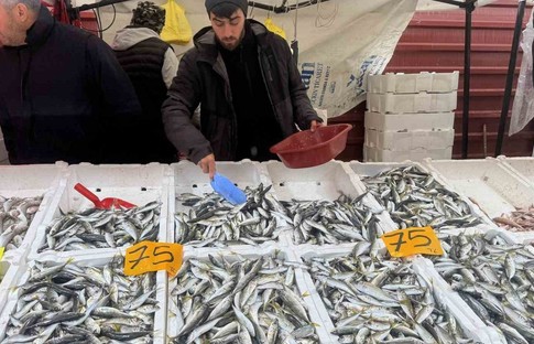 İstavritin kilosu 75 liraya düştü, vatandaşlar akın etti