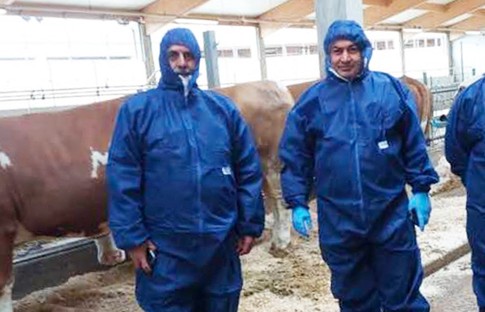 Urfa’da ŞAP salgını kırıldı, mezatların kısa süre içinde açılması bekleniyor