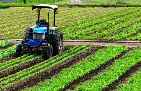 Tarım ÜFE dört ayın ardından yeniden yükselişe geçti